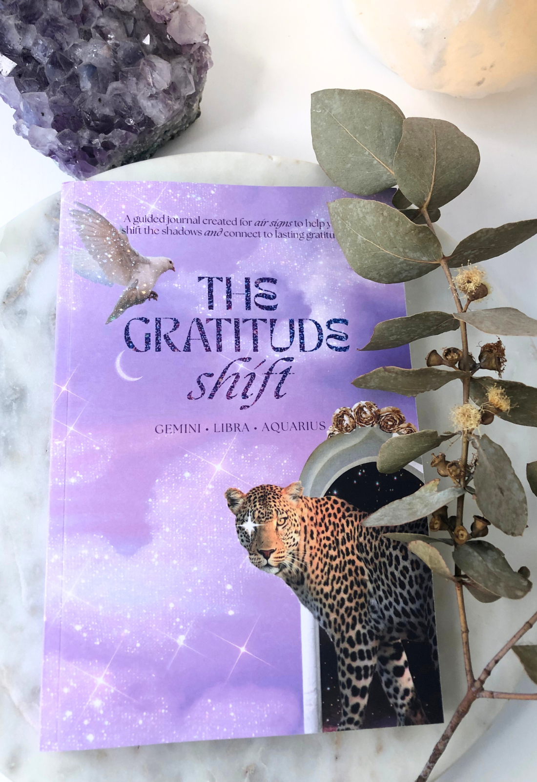 Gratitude Journal for Zodiac Signs